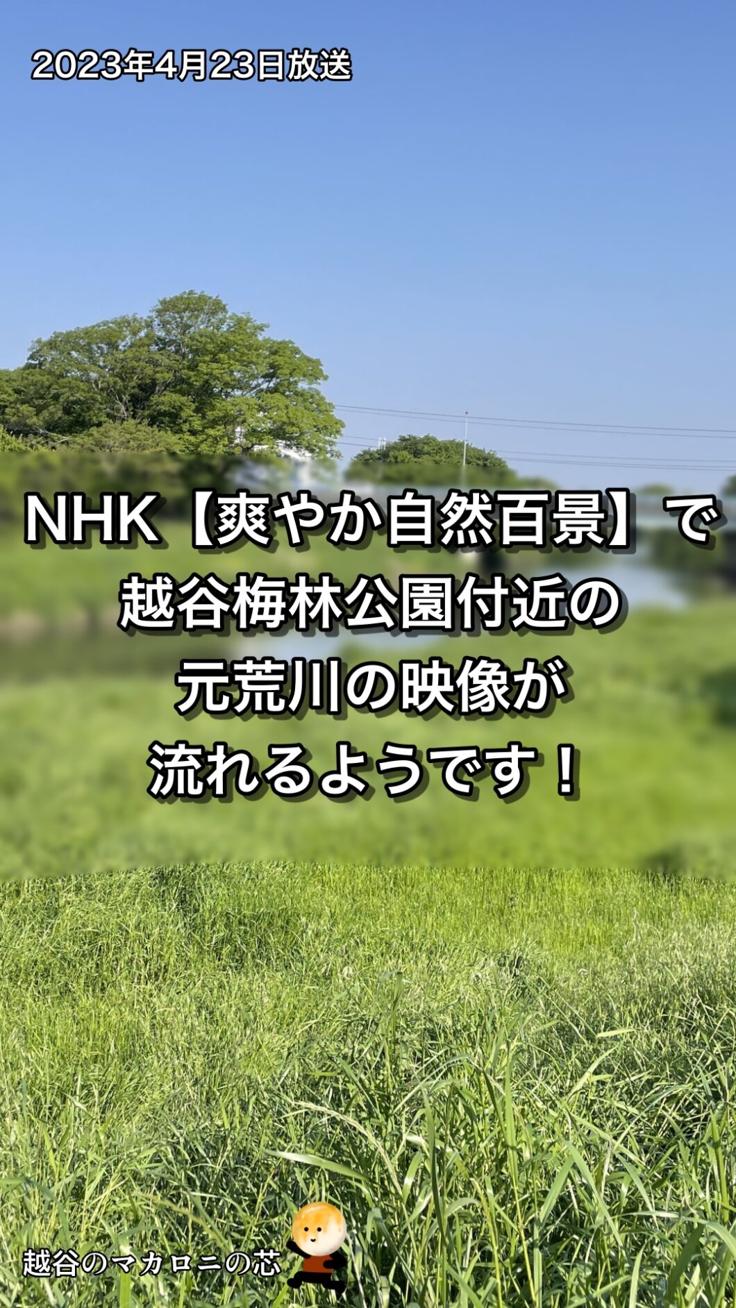 NHK【爽やか自然百景】で越谷梅林公園付近の元荒川の映像が流れるようです！