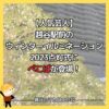 【人気芸人】越谷駅前のウィンターイルミネーション2023点灯式にぺこぱが登場！